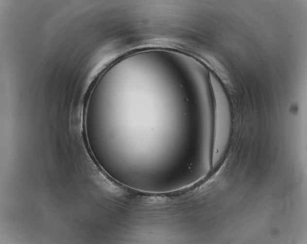 X0000091521180200708171210