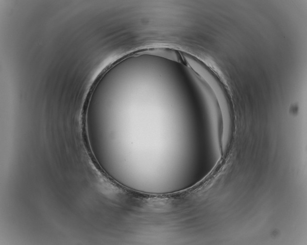 X0000091521181200708171210