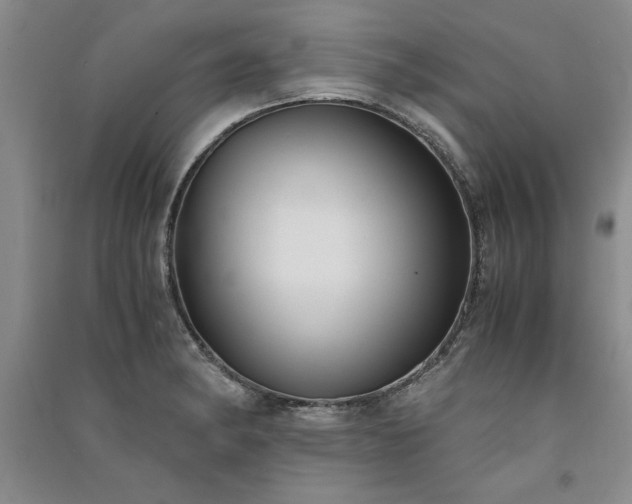 X0000091521182200708171210