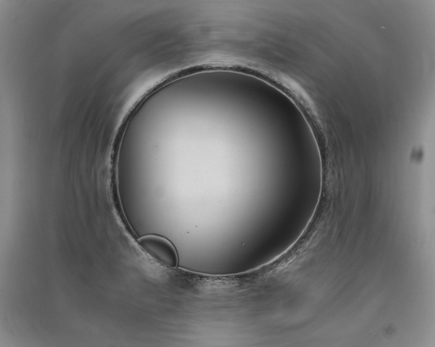 X0000091521183200708171210