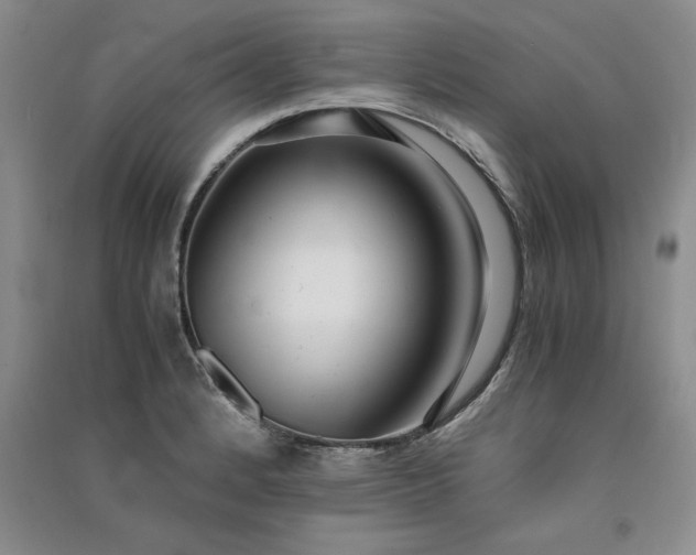 X0000091521184200708171210