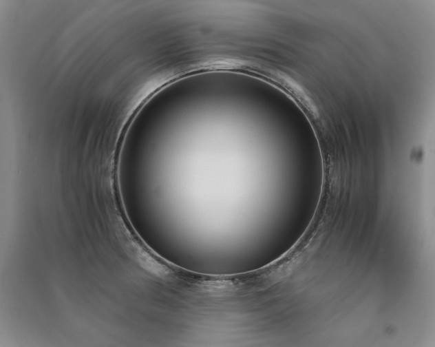 X0000091521186200708171210