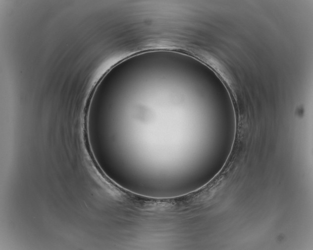 X0000091521187200708171210