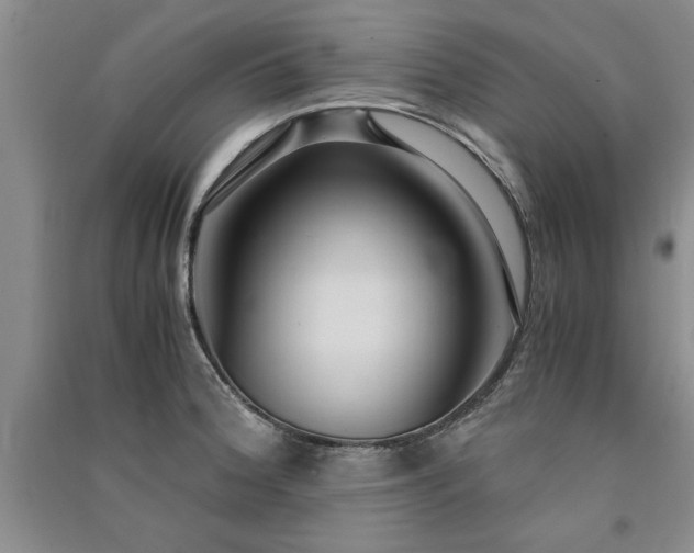 X0000091521188200708171210