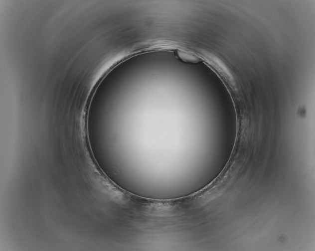 X0000091521190200708171210