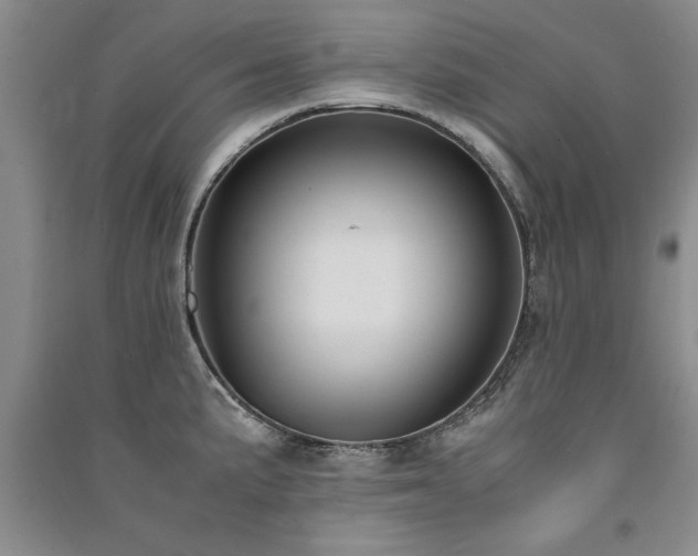 X0000091521191200708171210