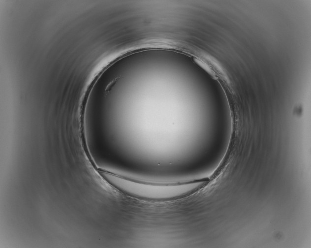 X0000091521192200708171210