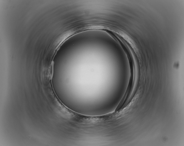 X0000091521193200708171210