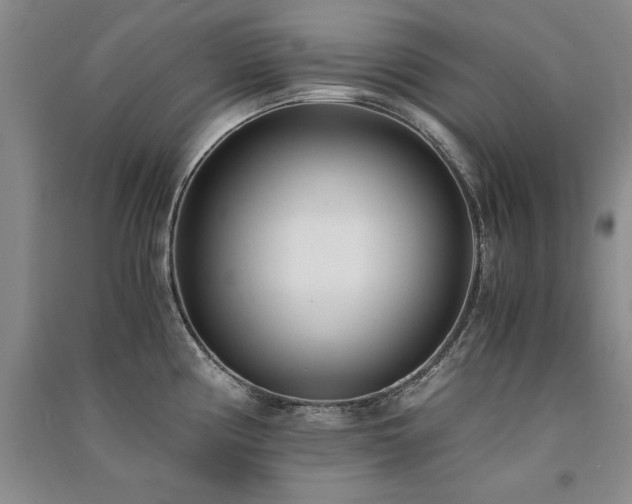 X0000091521194200708171210