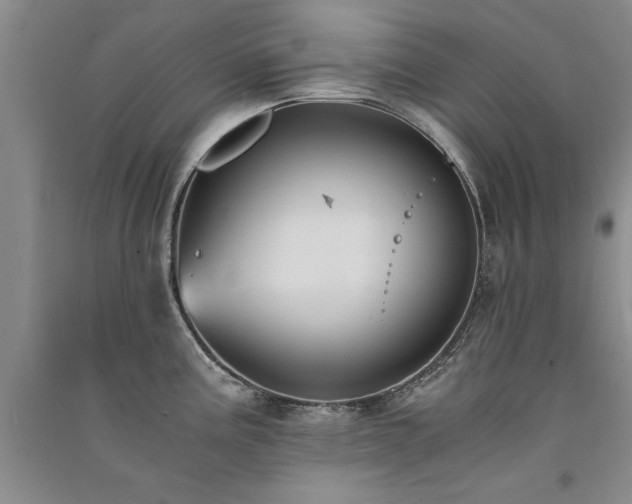 X0000091521195200708171210