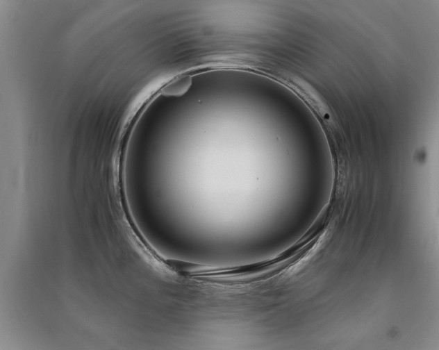 X0000091521196200708171210