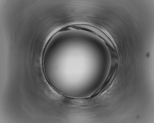 X0000091521197200708171210