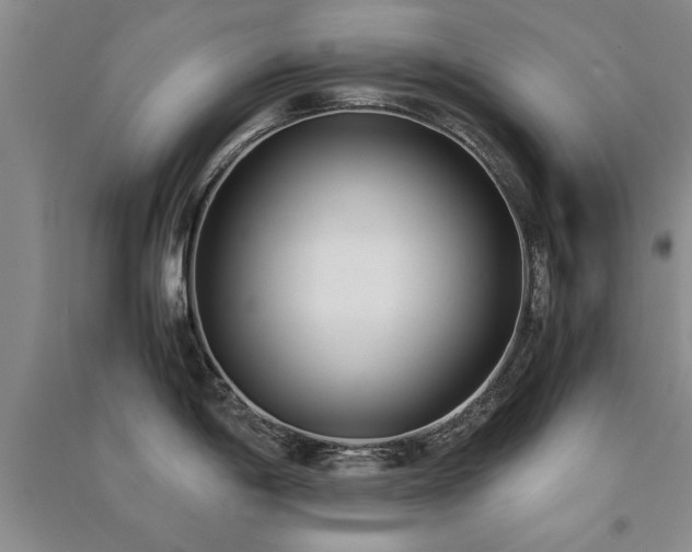 X0000091521198200708171210