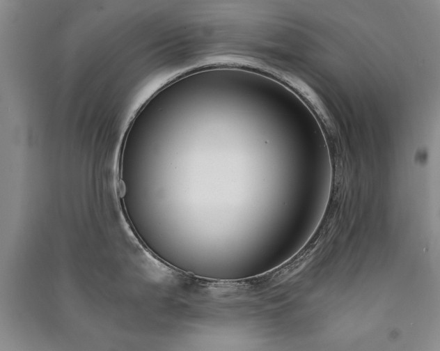 X0000091521199200708171210