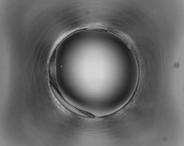 X0000091521200200708171210
