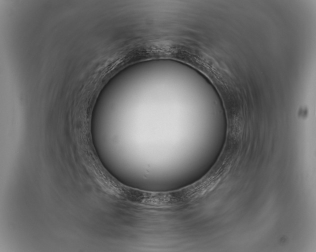 X0000091521201200708171209