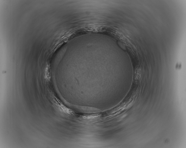 X0000091521202200708171209