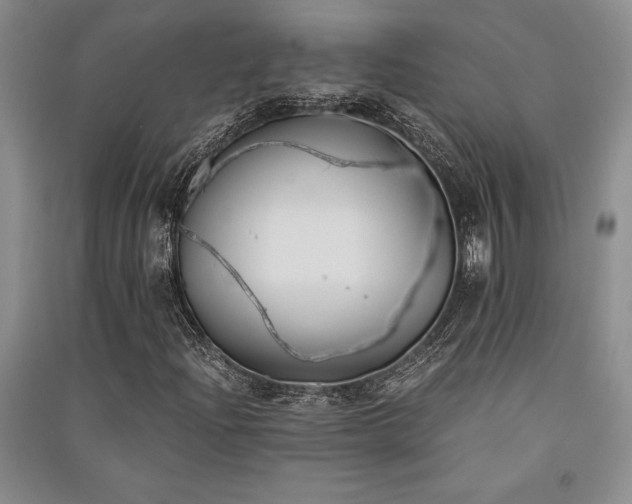 X0000091521204200708171209