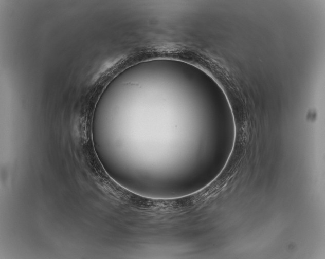 X0000091521205200708171209