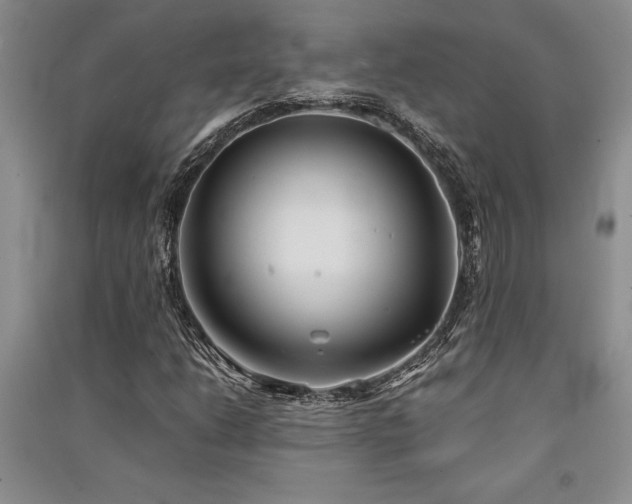 X0000091521206200708171209