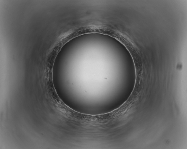 X0000091521207200708171210