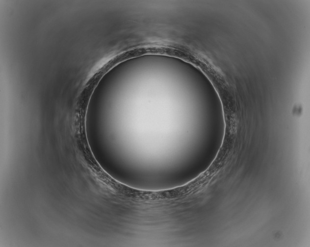 X0000091521208200708171210