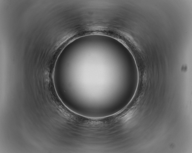 X0000091521209200708171210