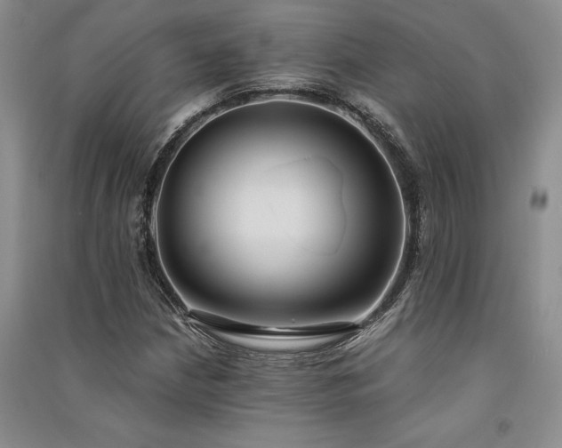 X0000091521210200708171210
