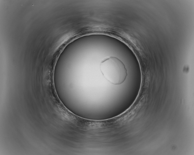 X0000091521211200708171210