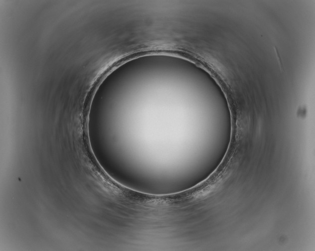 X0000091521212200708171210