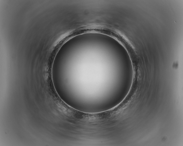 X0000091521213200708171210