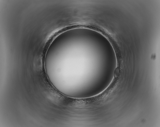 X0000091521214200708171210