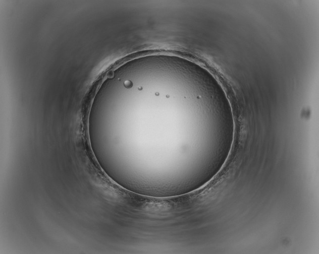 X0000091521215200708171210