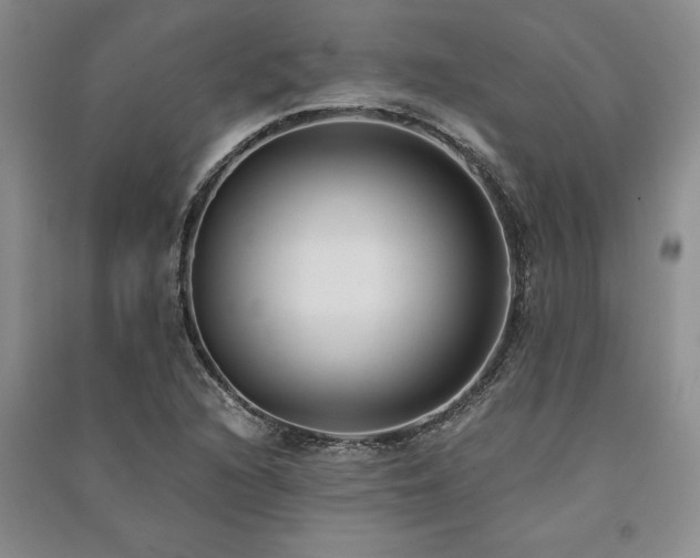 X0000091521216200708171210