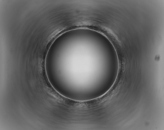X0000091521217200708171210