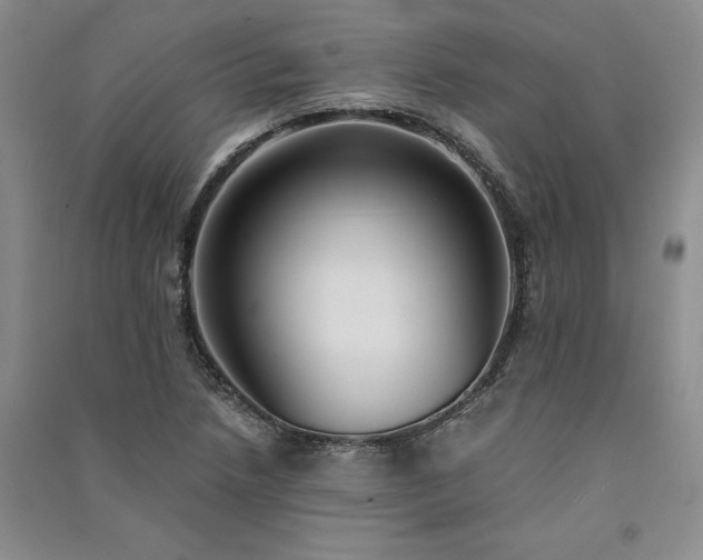 X0000091521218200708171210