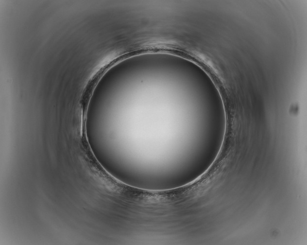 X0000091521219200708171210