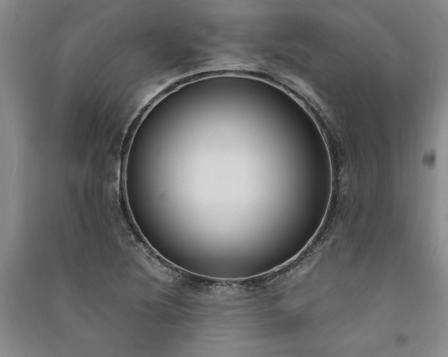 X0000091521220200708171210