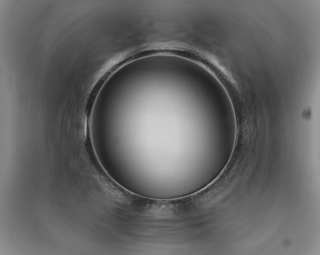 X0000091521221200708171210