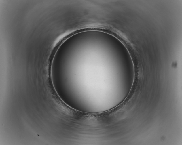 X0000091521222200708171210