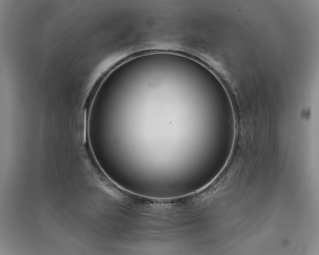 X0000091521223200708171210