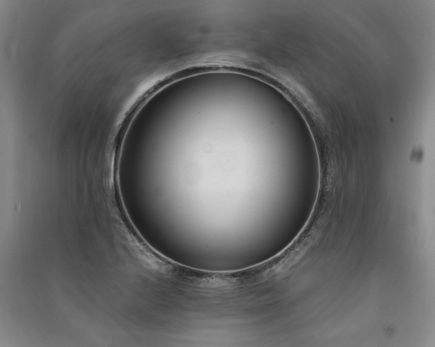 X0000091521224200708171210