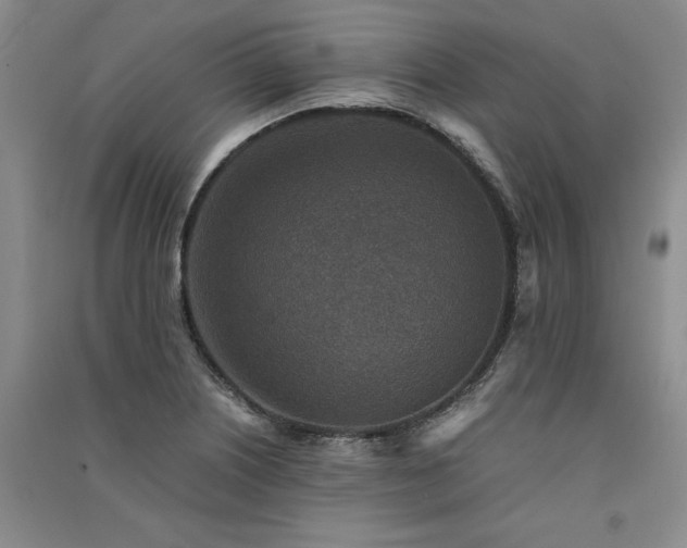 X0000091521226200708171210