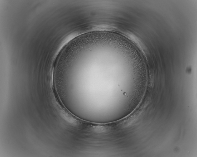 X0000091521227200708171210