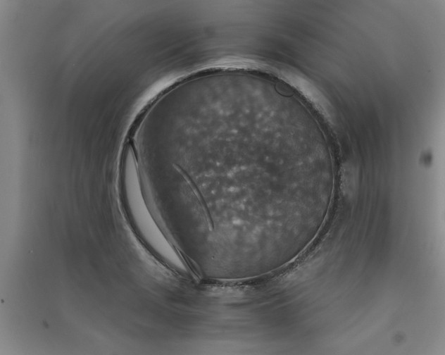 X0000091521229200708171210