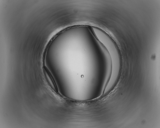 X0000091521230200708171210