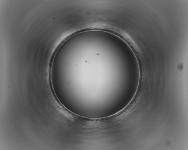 X0000091521232200708171210
