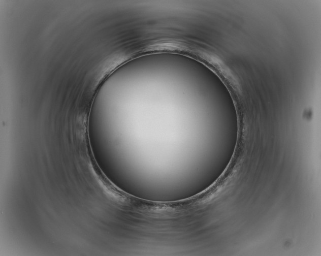 X0000091521233200708171210