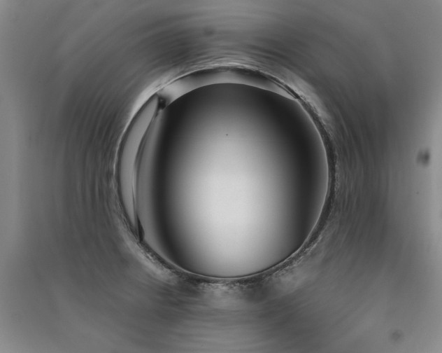 X0000091521234200708171210