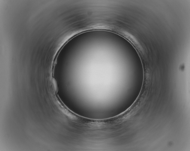 X0000091521236200708171210